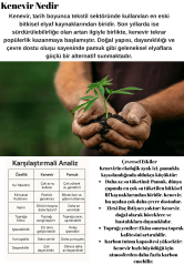 THE ADVENTURE OF HEMP